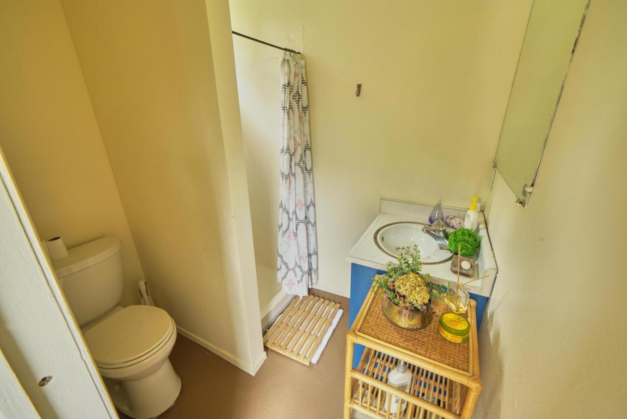Rivers Breeze Relaxing Riverside Cabin With Private Suite Kayaks Healdsburg Exterior foto
